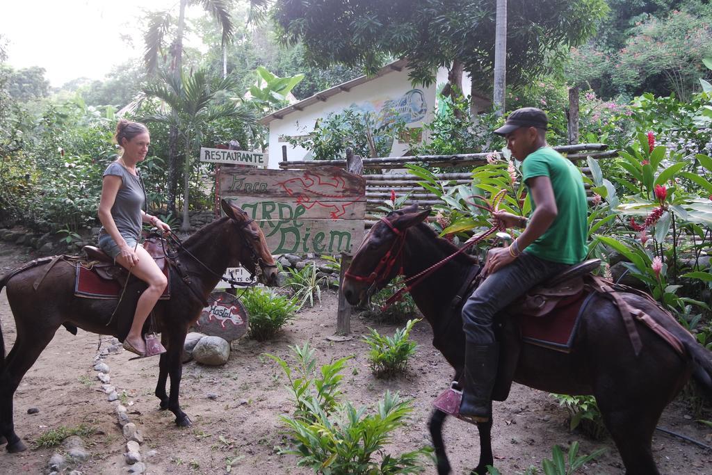 Finca Carpe Diem Ecolodge Minca Exterior foto