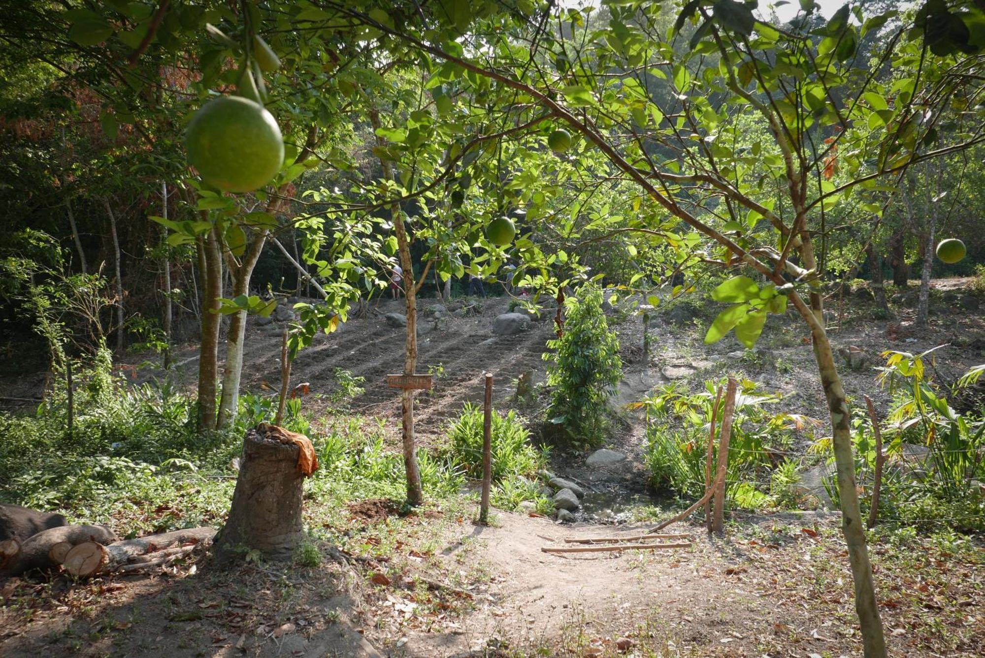 Finca Carpe Diem Ecolodge Minca Exterior foto